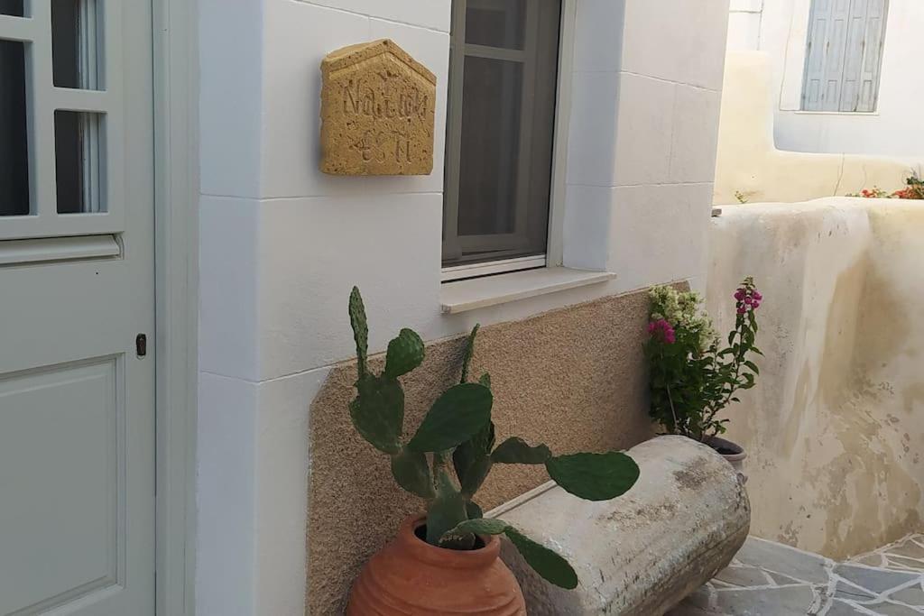 فيلا Naxion Esti - Διαμονή Στην Παλιά Χώρα Της Νάξου Naxos City المظهر الخارجي الصورة